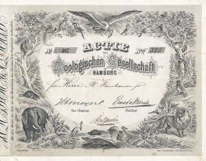 Gründeraktie der Zoologischen Gesellschaft in Hamburg über 375 Banco Shilling von 1860. Der Zoo Hamburg war einer der ersten Zoos in Deutschland in der Rechtsform der AG. Erster Präsident wurde Baron Ernst von Merck. Nachdem die Besucher sich immer mehr der Hagenbeck'schen Konkurrenz zuwandten, wurde die Gesellschaft 1931 aufgelöst und der Zoo geschlossen.